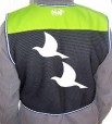 doves back